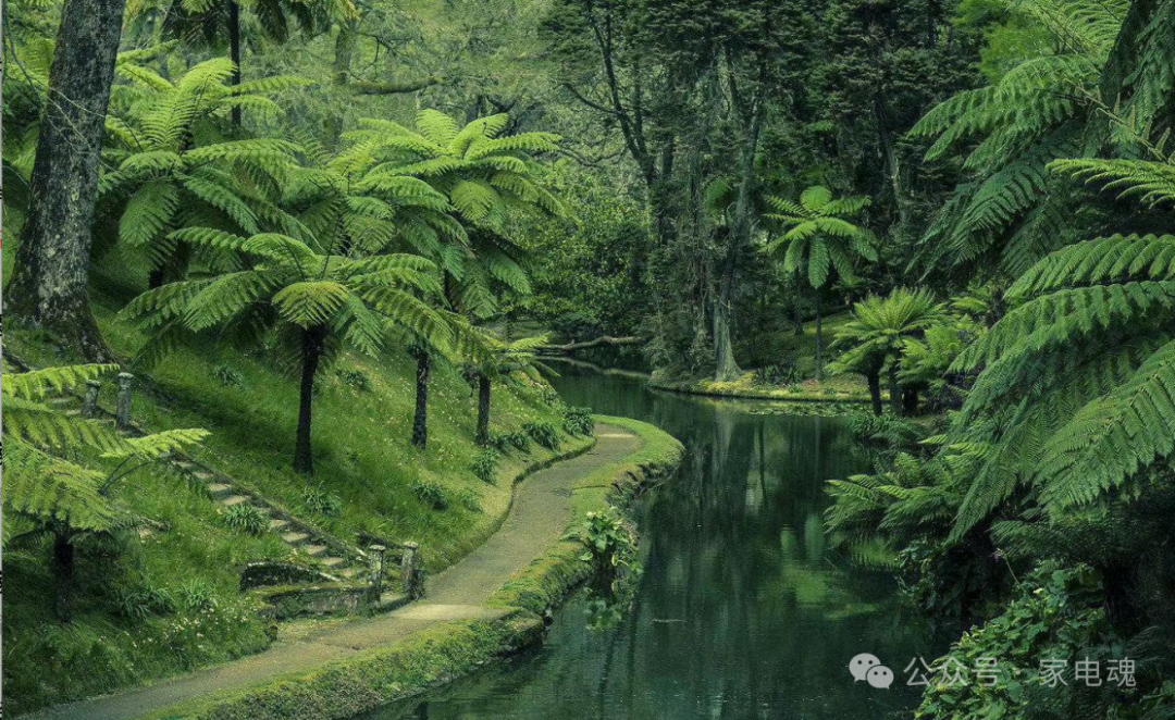 理性看待产品体积、重量 拿这个炒作产品是无知！