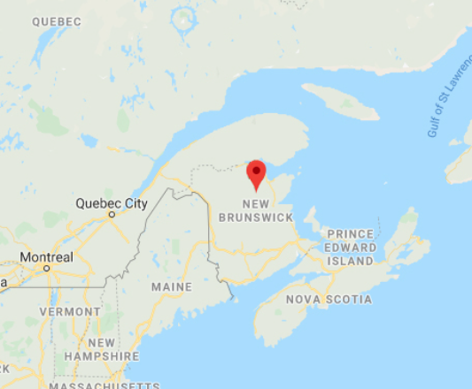 为了留住国际留学生，加拿大这个省也是拼的！