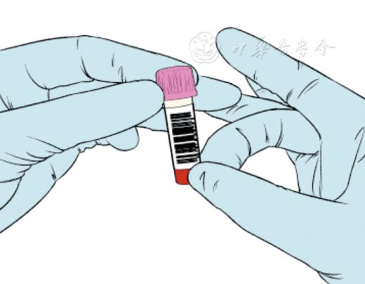 微量采血管怎么使用中国末梢采血操作共识_https://www.jmylbn.com_新闻资讯_第9张