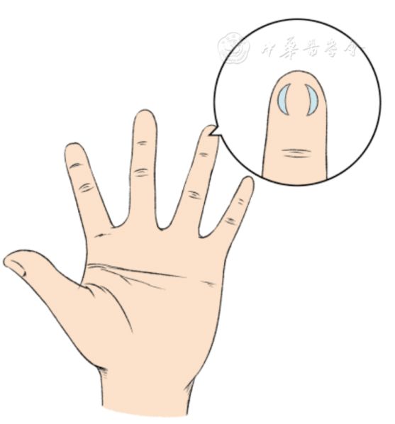 微量采血管怎么使用中国末梢采血操作共识_https://www.jmylbn.com_新闻资讯_第6张