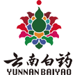 云南白药集团智云健康服务有限公司