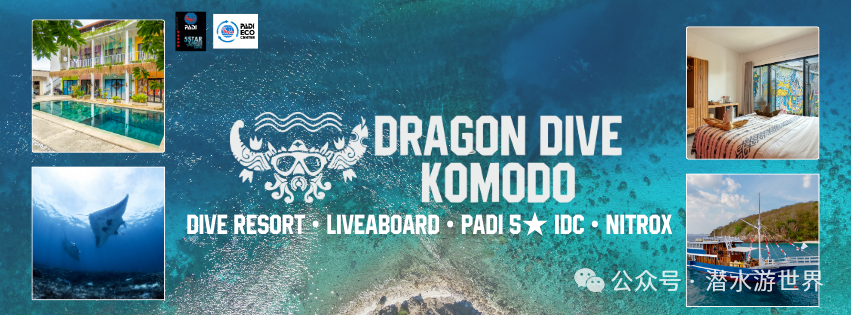 May be an image of ‎text that says '‎PASH STAR ופמת ออ้าด ECO DRAGON DIVE KOMODO DIVE RESORT LIVEABOARD PADI 5 IDC ·NITROX‎'‎
