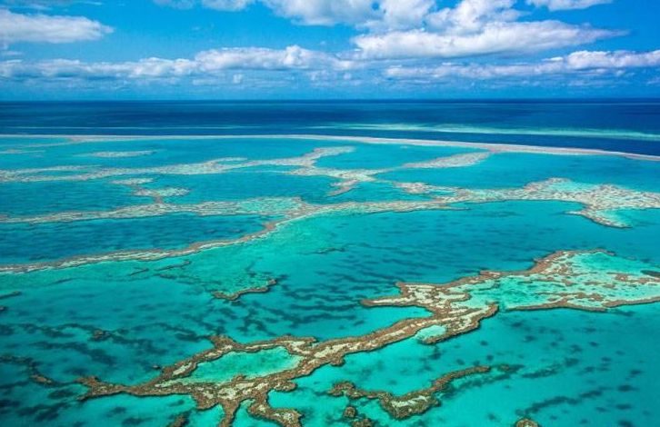 澳大利亞，在碧海藍天間遇見最美海岸 未分類 第22張