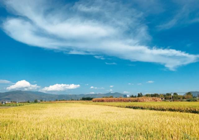 一個人的旅行從這 10 個地方開始