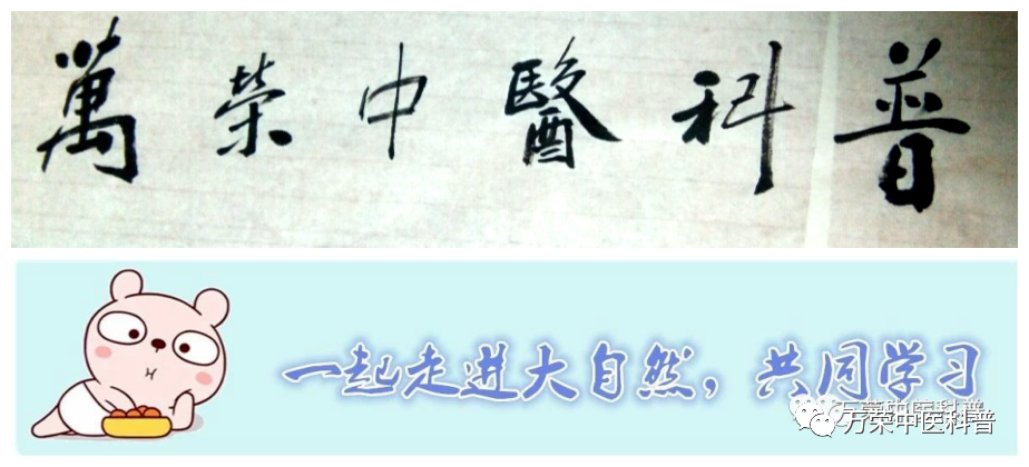 这些调味品都是中药，功效您知道吗？（三）