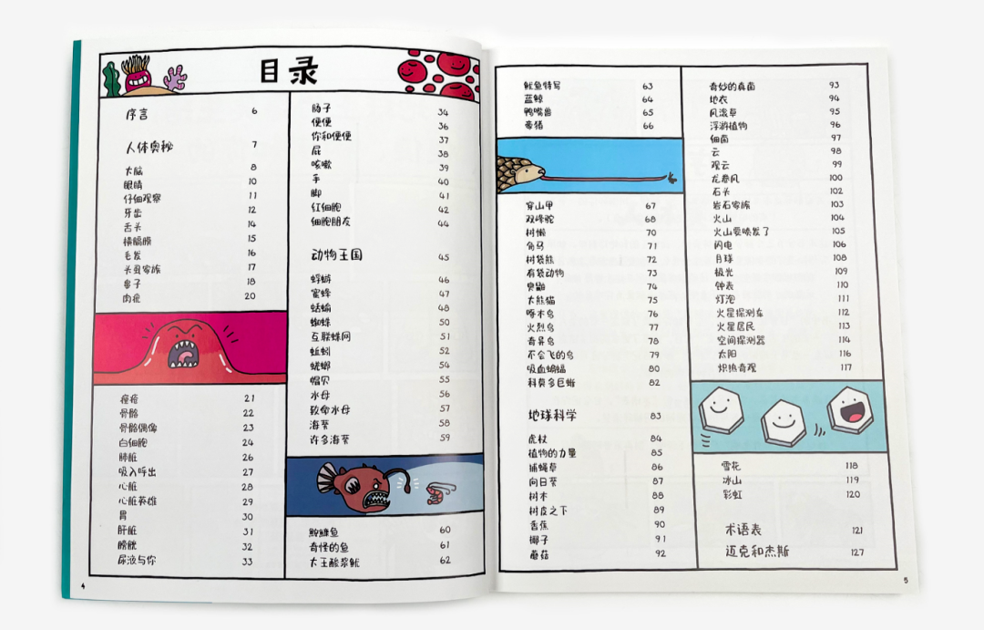 5套适合小学生的趣味科普书-最美岛