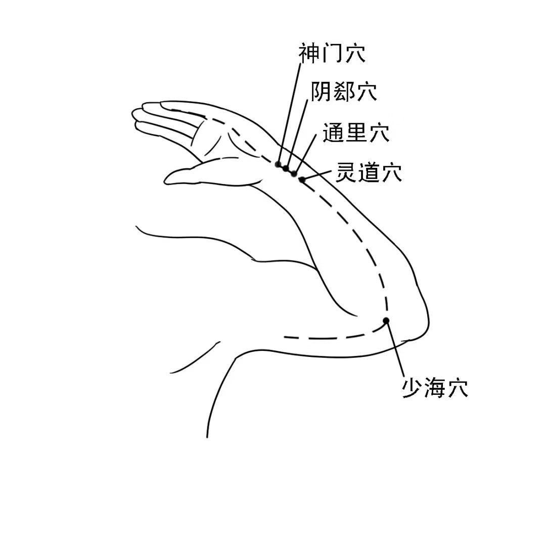 5寸的距離分佈神門,陰郄,通裡,靈道11小腸經易堵塞穴位後溪穴,天宗穴