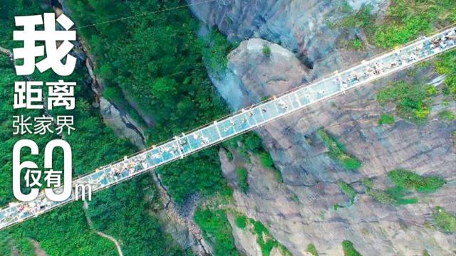 光山周边这条玻璃栈道火了!惊险刺激!约不约?