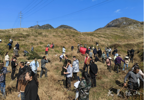 春风吹新绿植树正当时独山广大干群参加义务植树活动