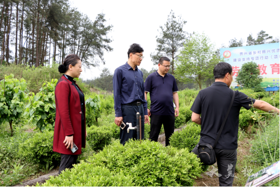 6969当天,调研组来到贵州省草地技术试验推广站独山基地,通过实地