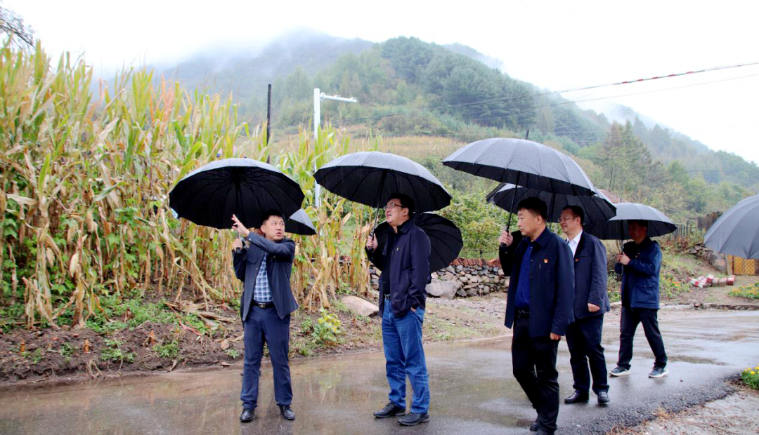 (吕鑫 孙富岭冒雨调研砬台村乡村振兴工作)调研的最后一站,吕鑫,孙