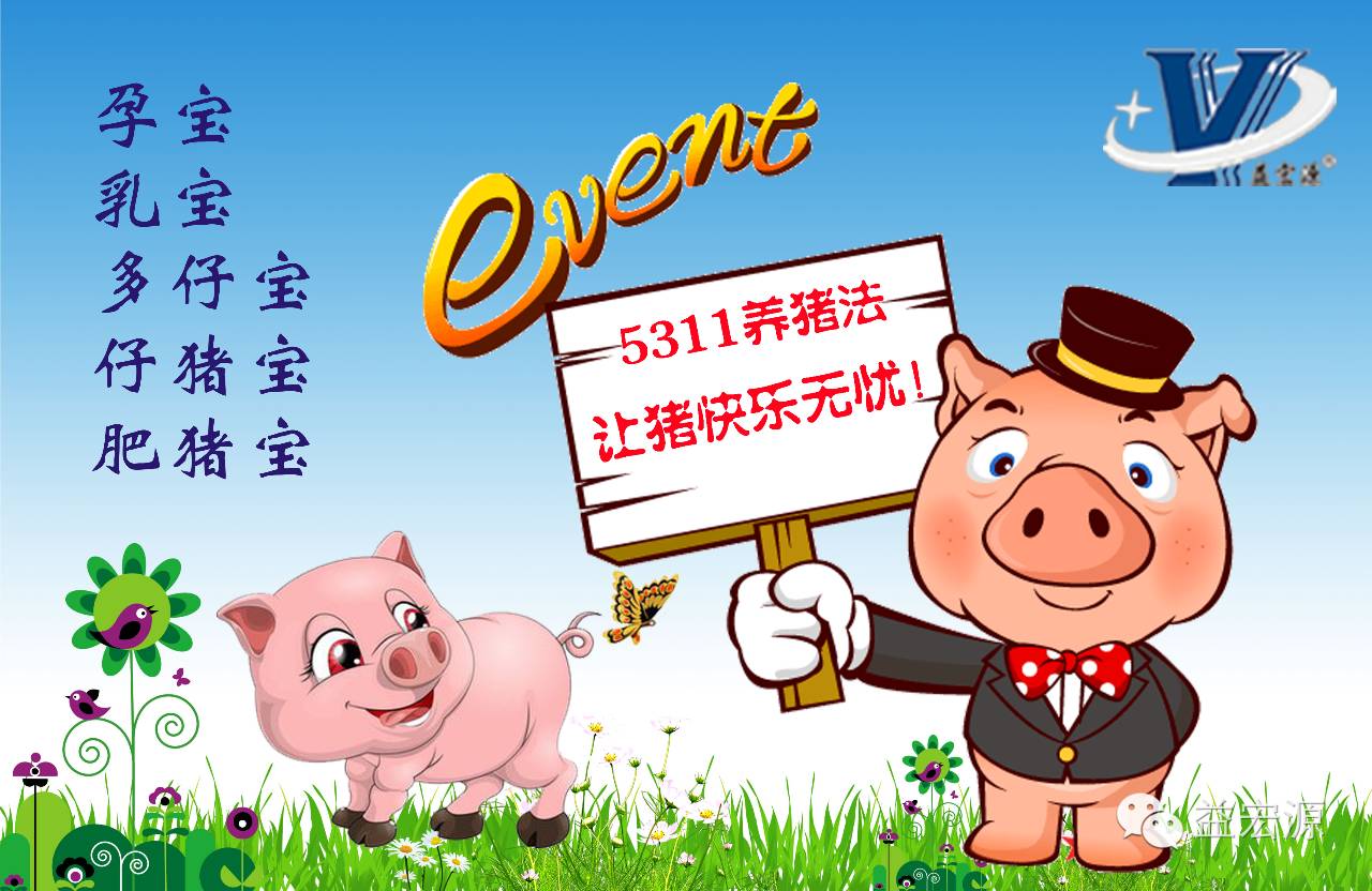 5311养猪法让猪快乐无忧