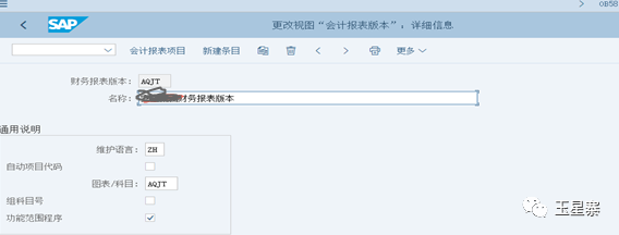 SAP 中国财务报表格式 IDCNBSAIS