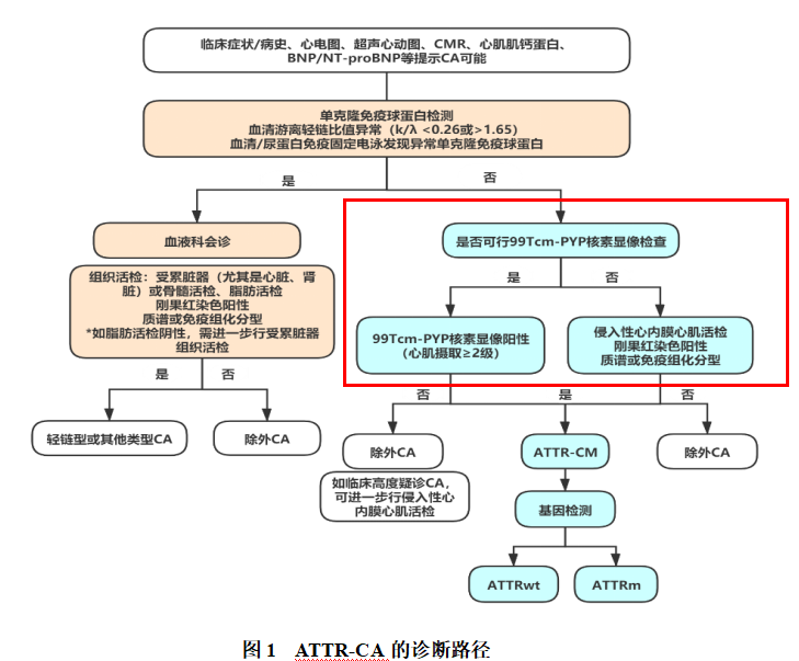 d-spect怎么检查【迎盛会 铸忠诚 强担当 创业绩】我院核医学科成功完成首例^99mTc-PYP心肌淀粉样变SPECT／CT显像_https://www.jmylbn.com_新闻资讯_第5张
