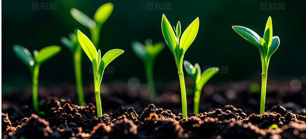 金日光教授：天冷了，早晨洗脸用冷水还是热水好？(图2)