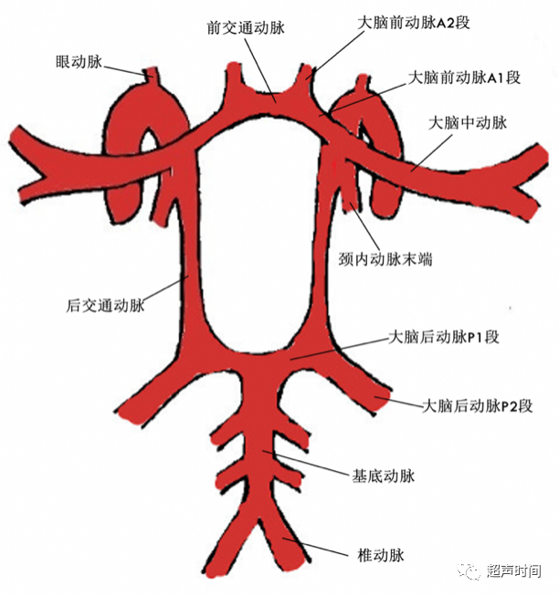 TCD怎么切换探头【血管超声】经颅多普勒（TCD）基础知识及临床应用_https://www.jmylbn.com_新闻资讯_第20张