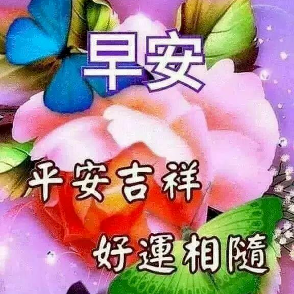 大家早上好 微信唯美最新早上好祝福语动态表情图片 微信图片