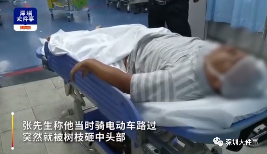 7�׳���֦ͻȻ׹�� ��������һ�ﳵ����ͷ��������