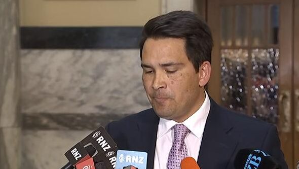 “2个华人要比2个印度裔要有价值”“我不会对华社和印度人道歉” 国家党高层电话录音曝光！华人对他们而言竟是…（组图） - 7