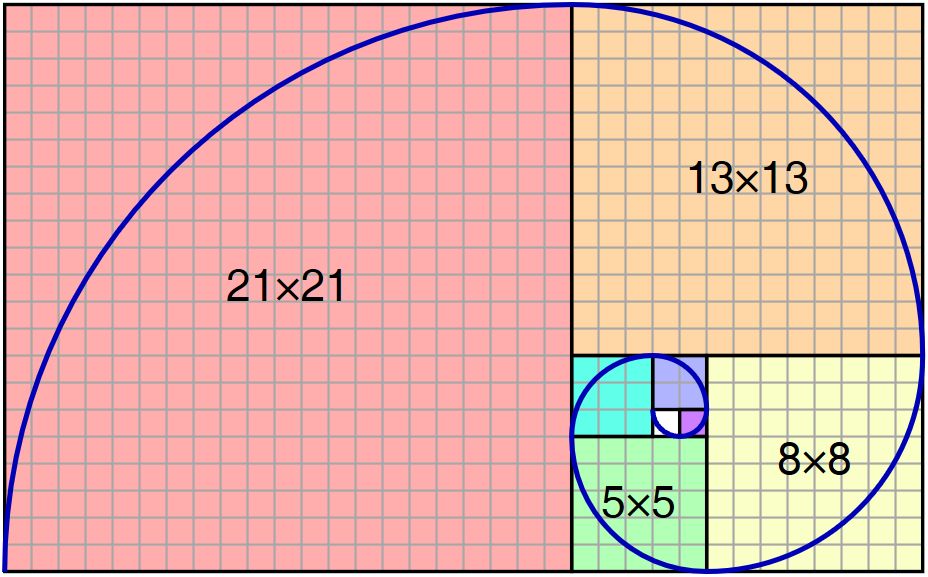 破解不死神兔的繁衍秘密,暗藏世上最美的神秘数字.