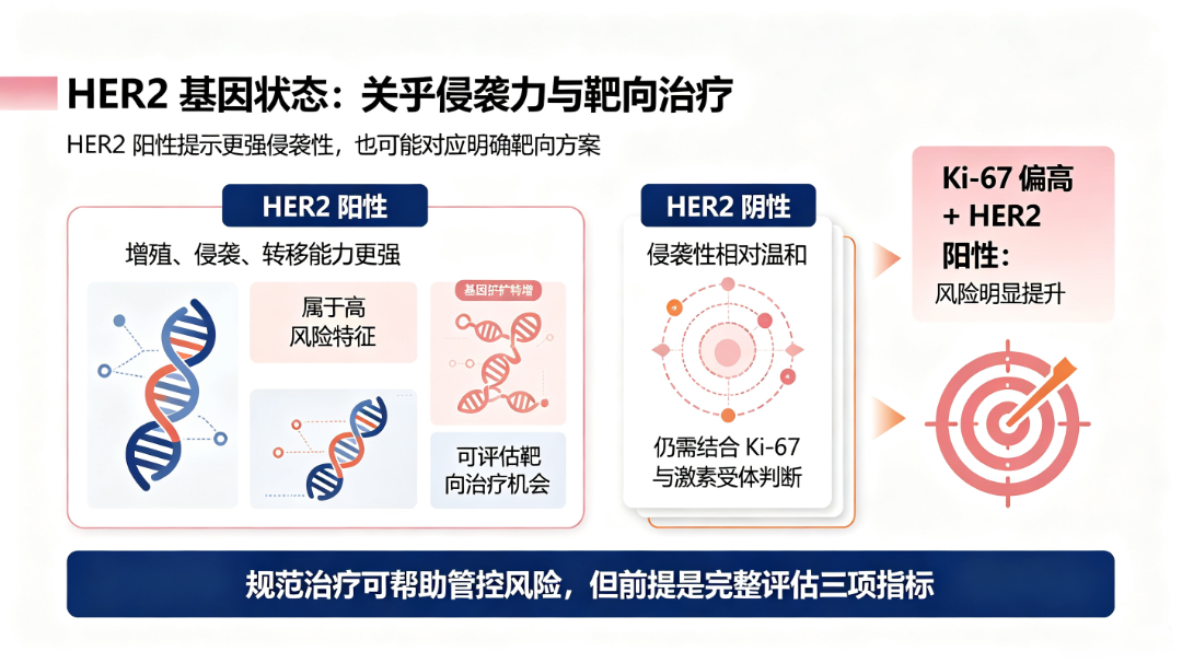 新对话 (2).png