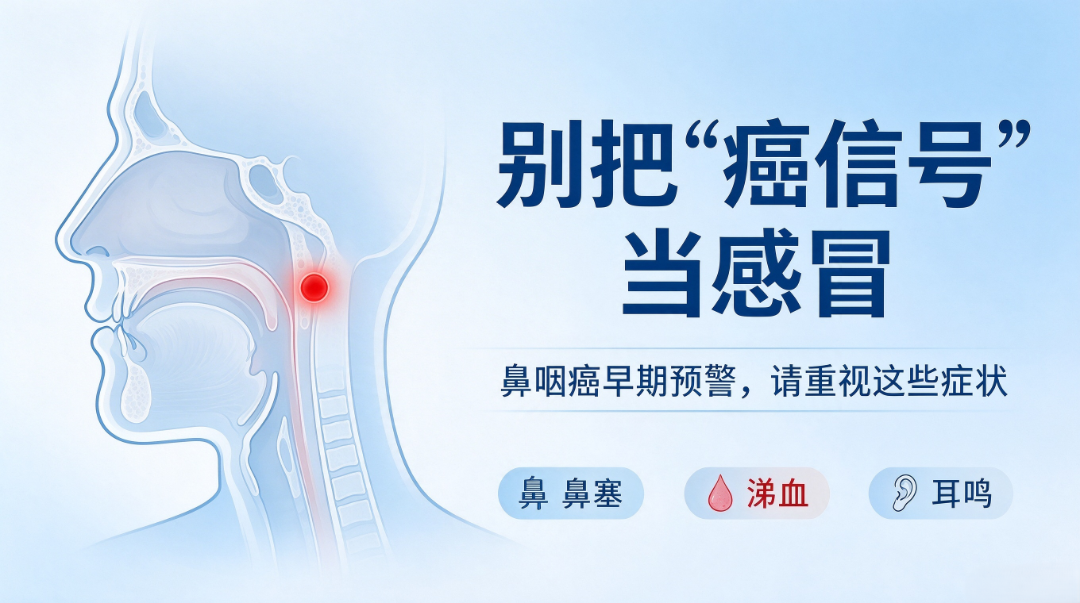 新对话 (1).png