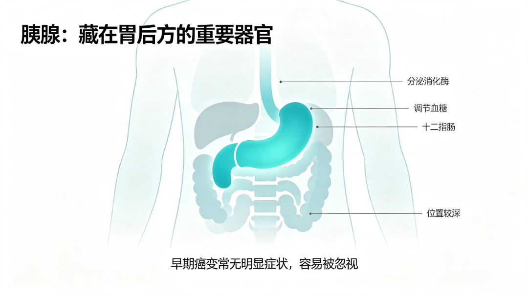 胰腺癌晚期原因及信号.png