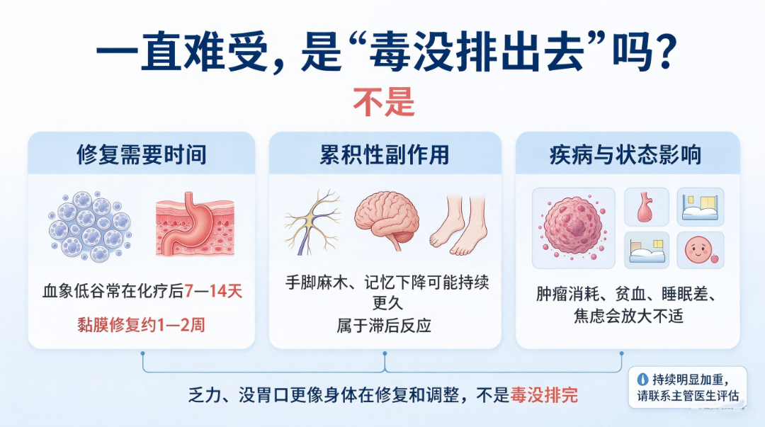 新对话 (2).png