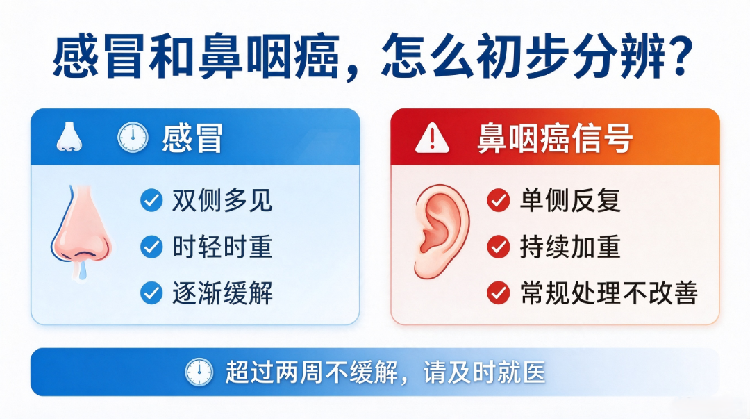新对话 (2).png