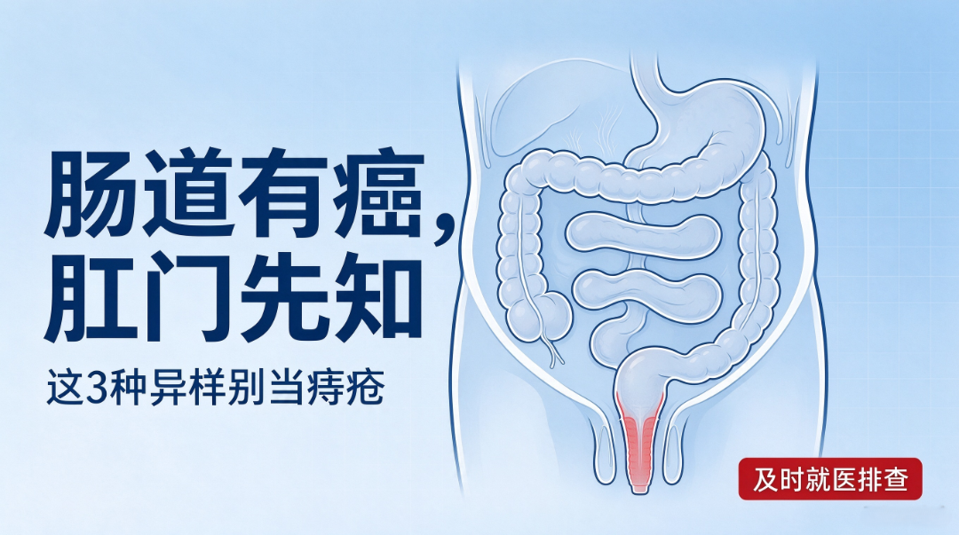 新对话.png