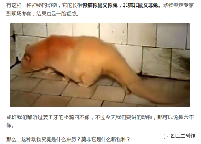 文章这样写才有人看！这些一定要收藏的创作技巧，百万阅读作者的心得