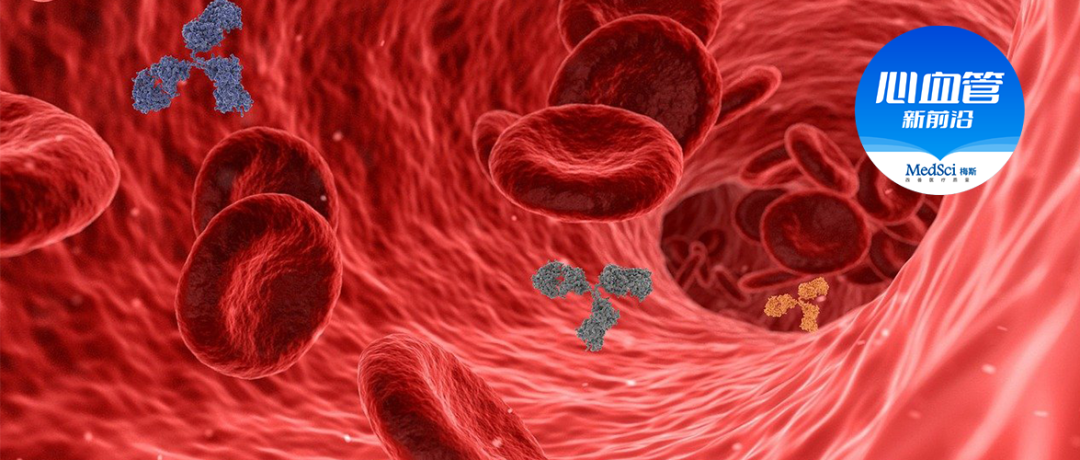 clearcuff加压袋为什么主动脉内球囊反搏（IABP），看这一篇就够了！_https://www.jmylbn.com_新闻资讯_第12张