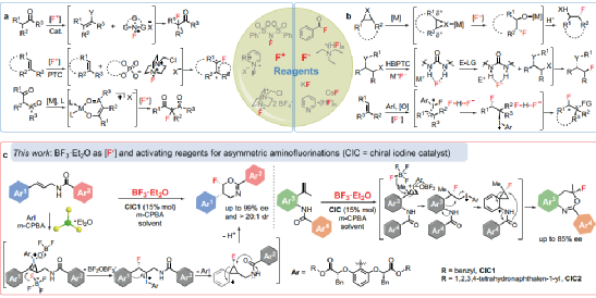 BF3∙Et2O作为氟试剂和活化试剂在手性高价碘催化的不对称亲核氟化反应中的首次应用 第2张