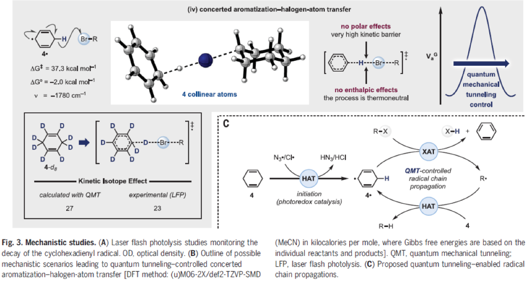 Science：利用光催化卤原子转移和基团转移化学实现去官能团化过程的图8