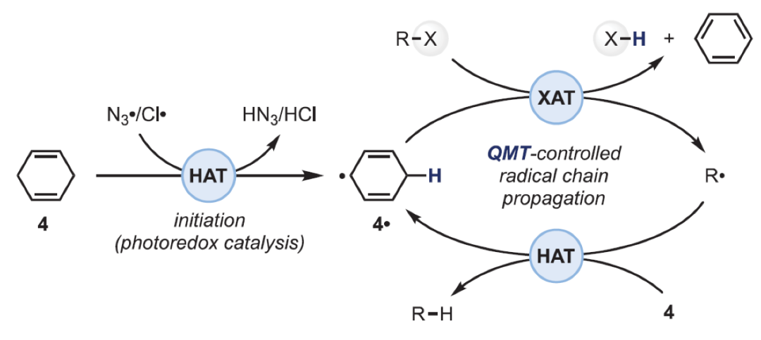 Science：利用光催化卤原子转移和基团转移化学实现去官能团化过程的图1