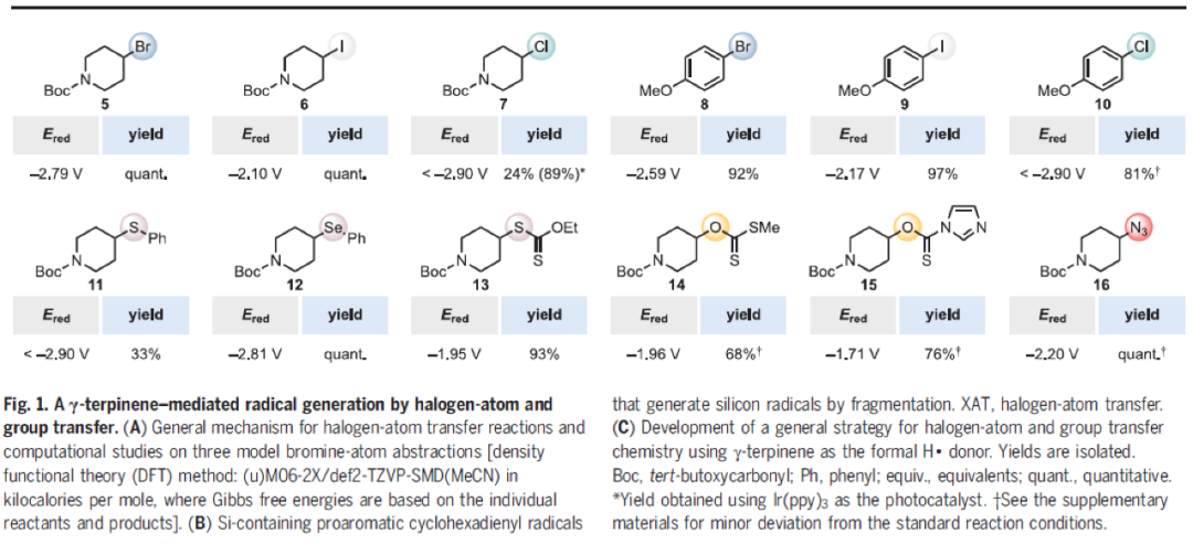 Science：利用光催化卤原子转移和基团转移化学实现去官能团化过程的图3