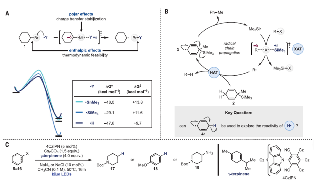 Science：利用光催化卤原子转移和基团转移化学实现去官能团化过程的图2