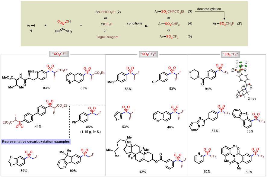 氟甲基高价硫的全谱构建为药物发现助新力 第3张