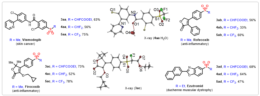 氟甲基高价硫的全谱构建为药物发现助新力 第4张
