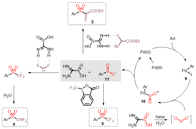 氟甲基高价硫的全谱构建为药物发现助新力 第5张