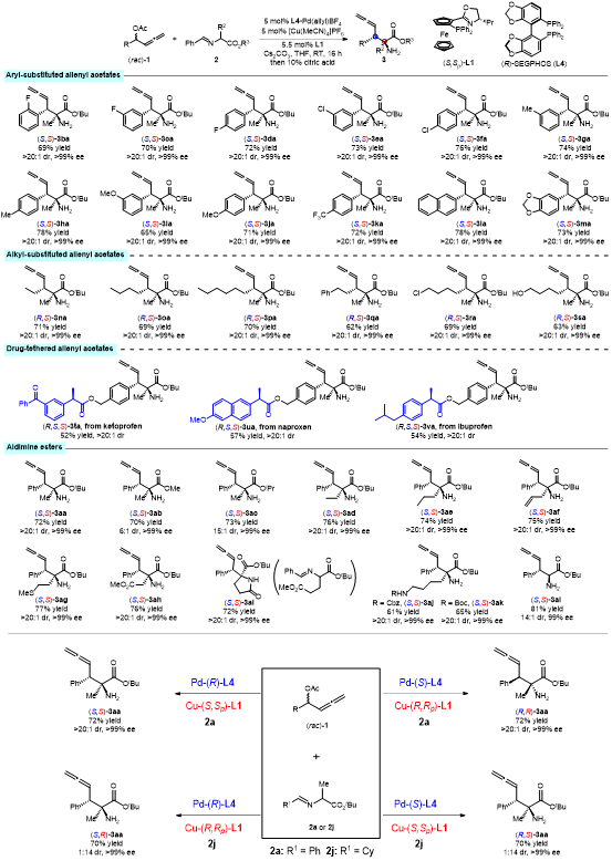 Angew：Pd/Cu双金属协同催化用于α,β-手性碳联烯的立体发散性合成的图3