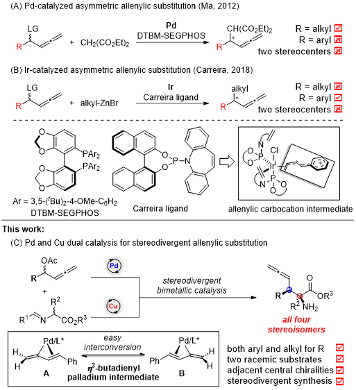 Angew：Pd/Cu双金属协同催化用于α,β-手性碳联烯的立体发散性合成的图2