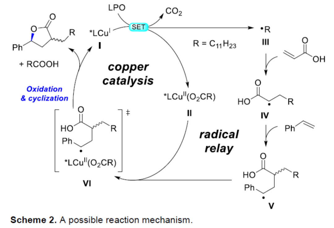 Angew：中科院福建物构所鲍红丽与李亚军团队铜催化自由基对映选择性合成γ-丁内酯衍生物的图12