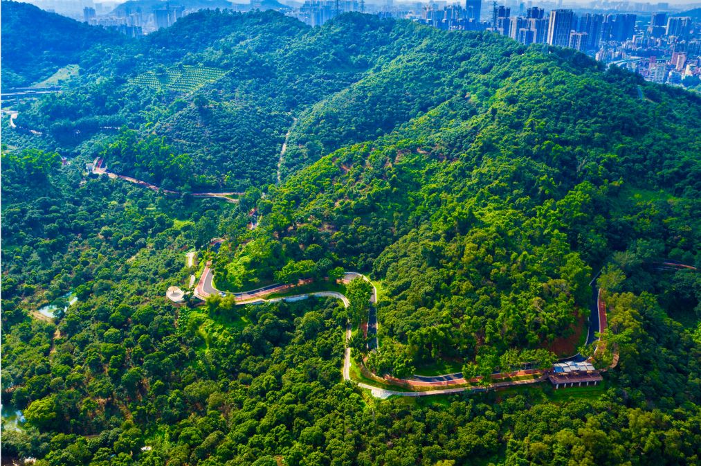 深圳淘金山绿道开放了吗- 深圳本地宝