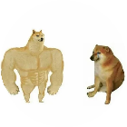 表情包梗图自己做