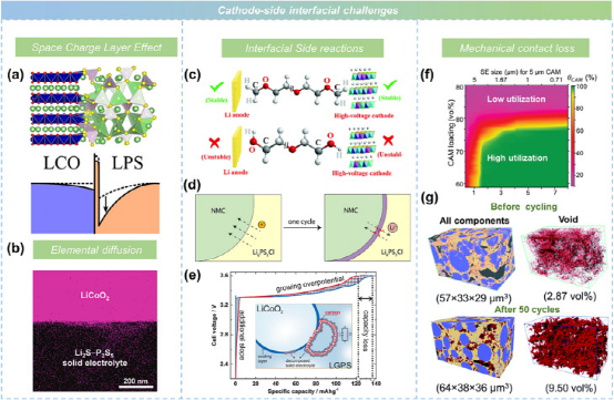 吴凡研究员、李泓研究员团队在IF=37.4顶刊发文：固态电池——从基础研究到产业化的图7
