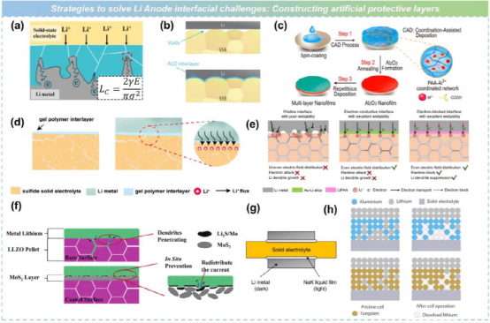 吴凡研究员、李泓研究员团队在IF=37.4顶刊发文：固态电池——从基础研究到产业化的图14