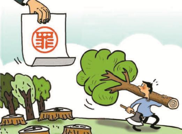 阳山这2名男子将面临法律制裁-阳山县政府门户网站