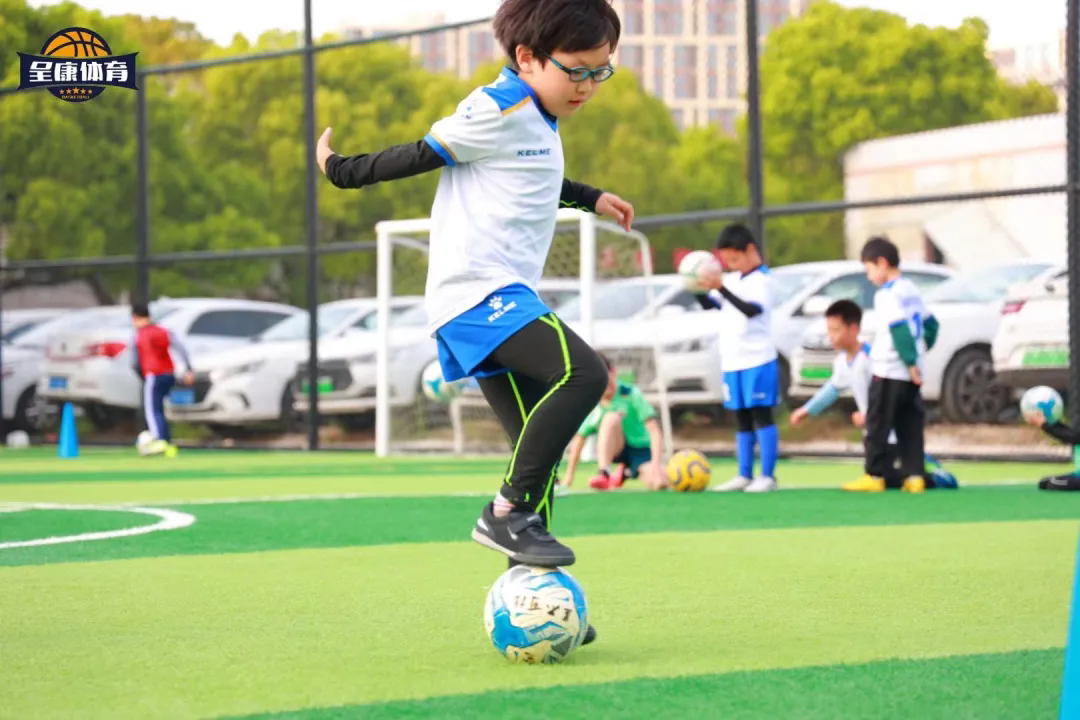 2b8e33748b231d43a33cb216cfc65dc0-sz_313158.webp.png