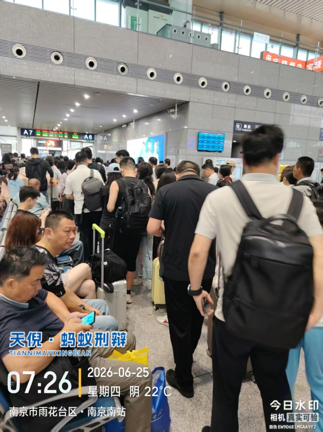 奔跑的蚂蚁｜2026年 第十八周：扎根一线深耕办案实务，精研法理筑牢专业根基